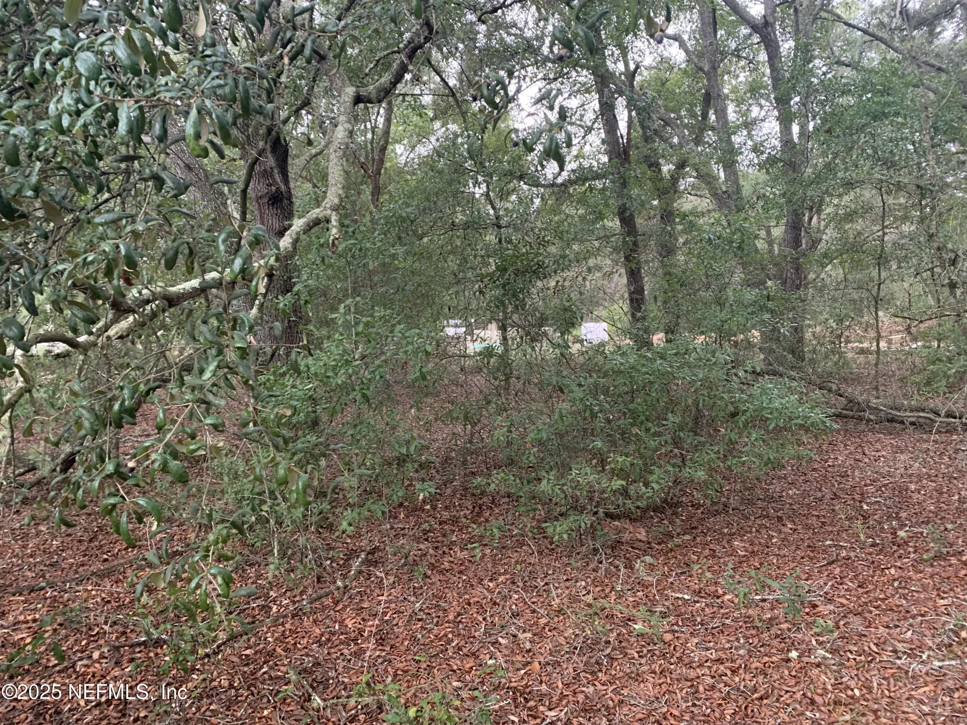 0250 Lenore Avenue Interlachen FL 32148