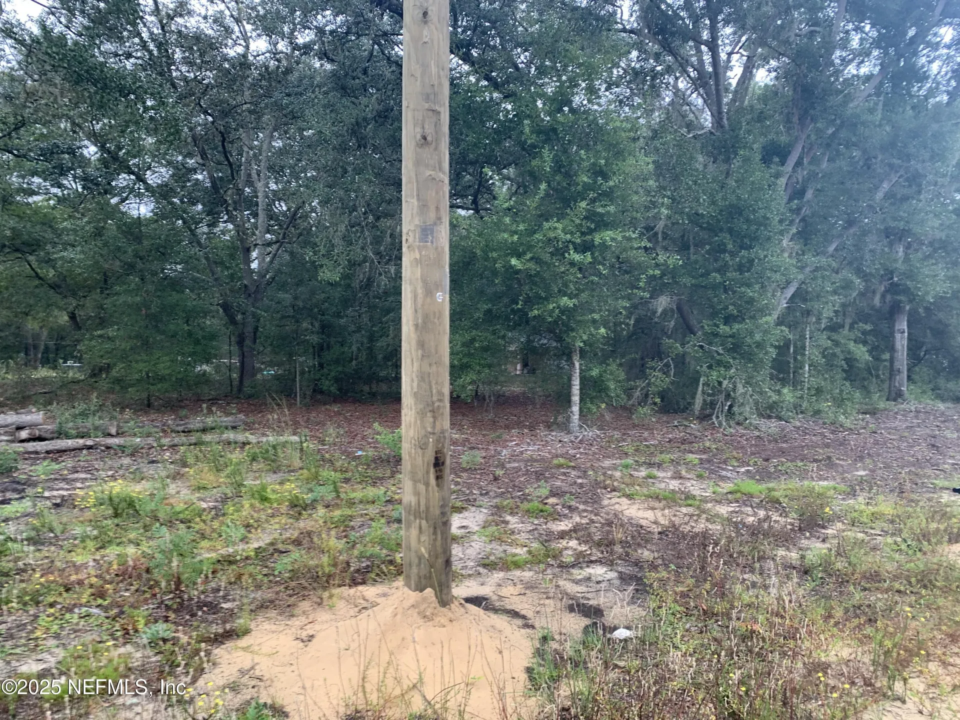 0250 Lenore Avenue Interlachen FL 32148