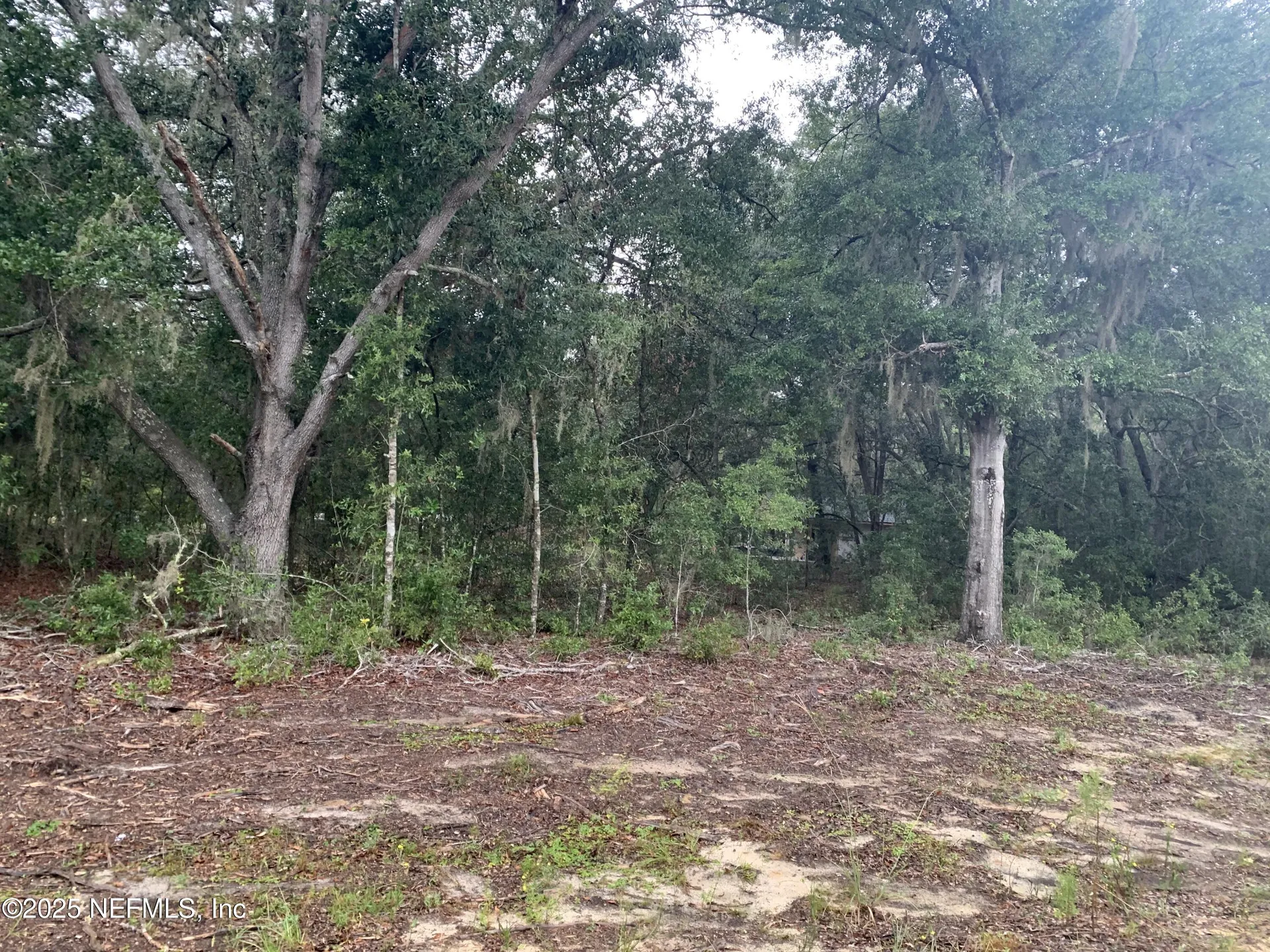 0250 Lenore Avenue Interlachen FL 32148