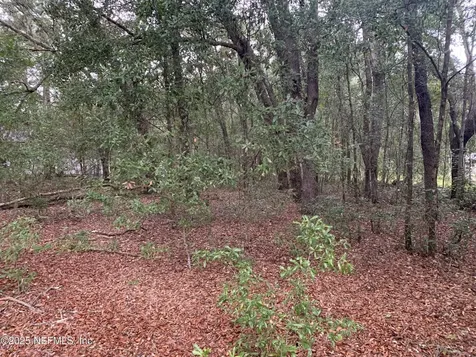 0250 Lenore Avenue Interlachen FL 32148