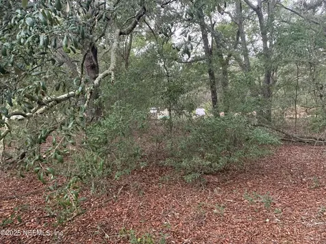 0250 Lenore Avenue Interlachen FL 32148