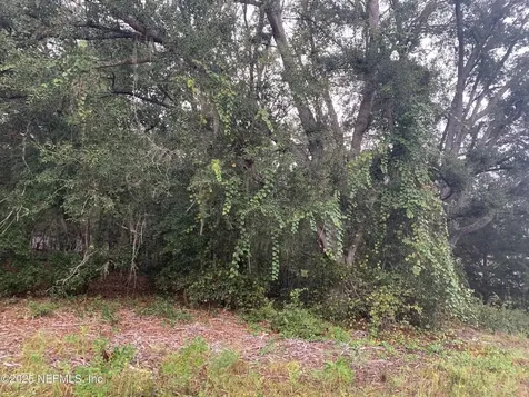 0250 Lenore Avenue Interlachen FL 32148