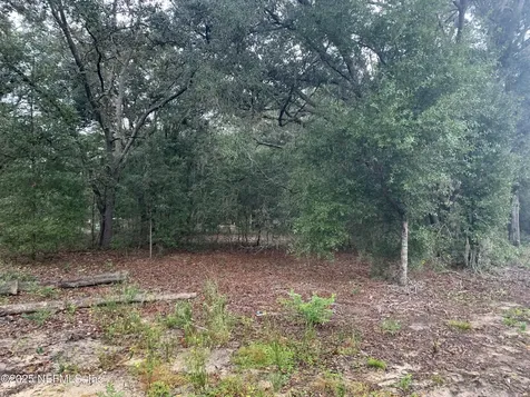 0250 Lenore Avenue Interlachen FL 32148