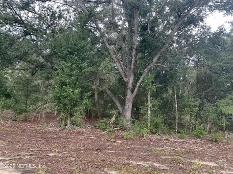 0250 Lenore Avenue Interlachen FL 32148