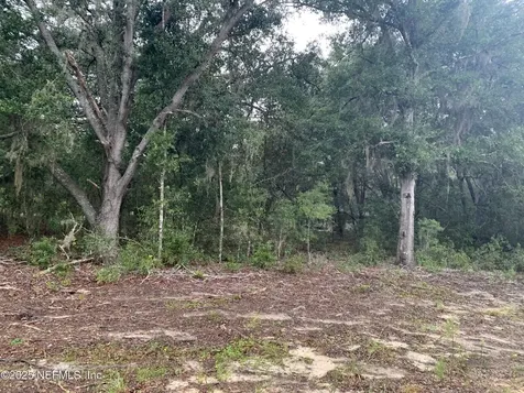 0250 Lenore Avenue Interlachen FL 32148