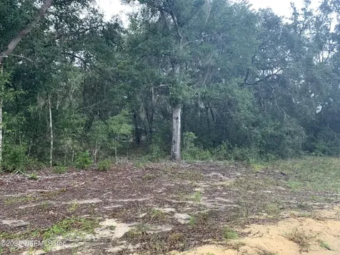 0250 Lenore Avenue Interlachen FL 32148