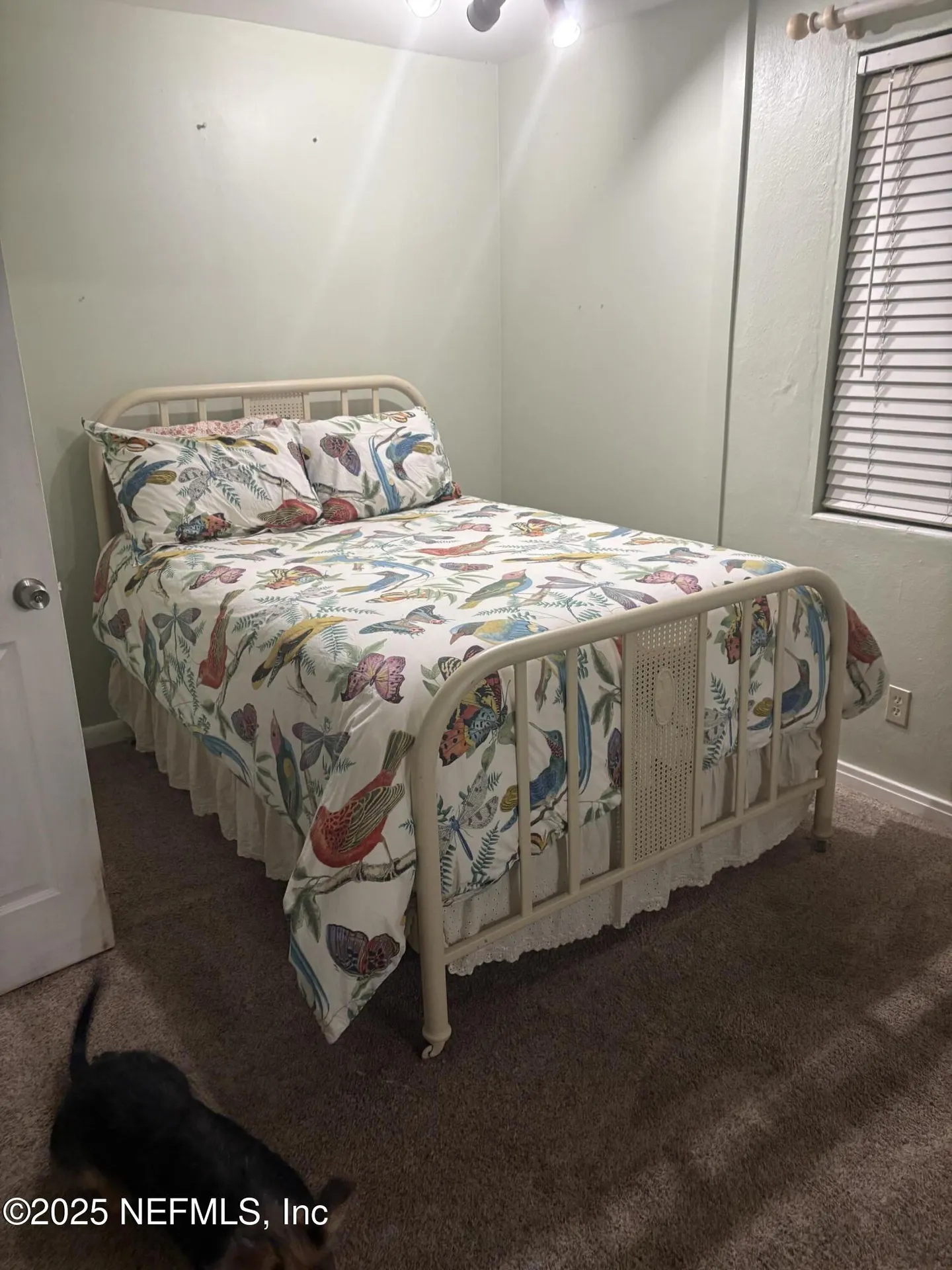 6649 Oriole Avenue Jacksonville FL 32216