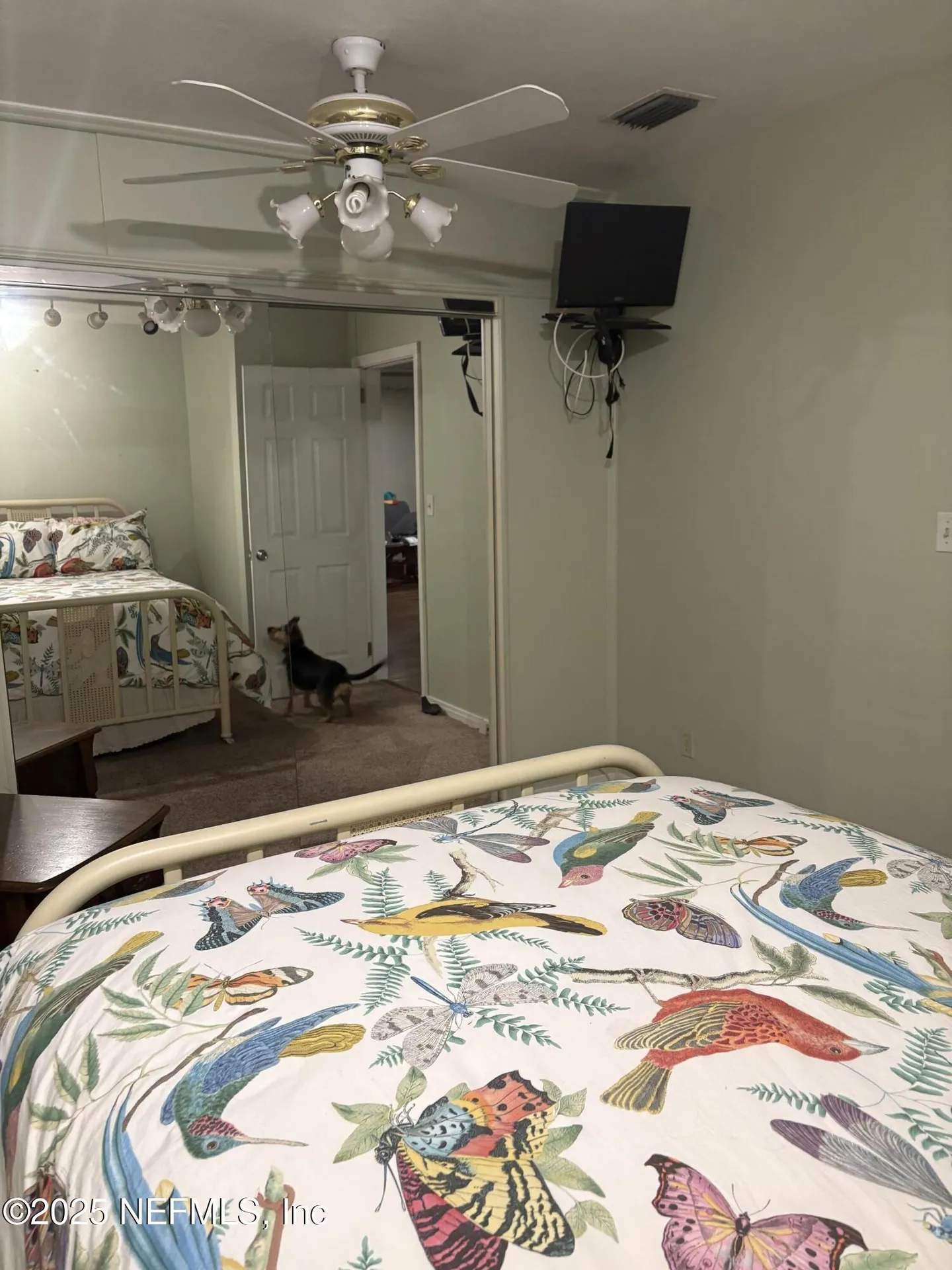 6649 Oriole Avenue Jacksonville FL 32216