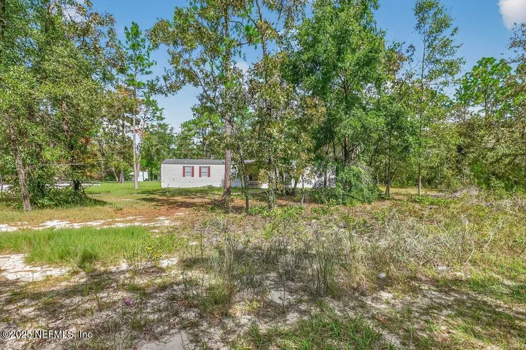 6204 Kent Avenue Keystone Heights FL 32656