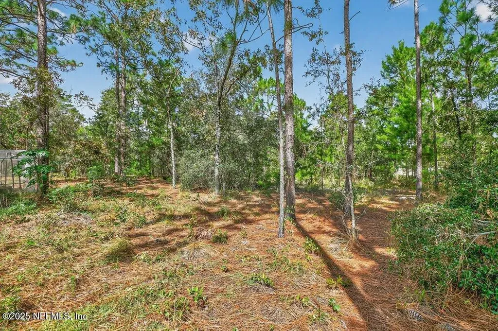 6204 Kent Avenue Keystone Heights FL 32656