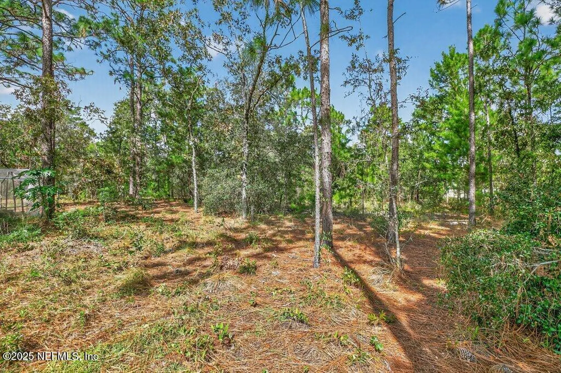 6204 Kent Avenue Keystone Heights FL 32656