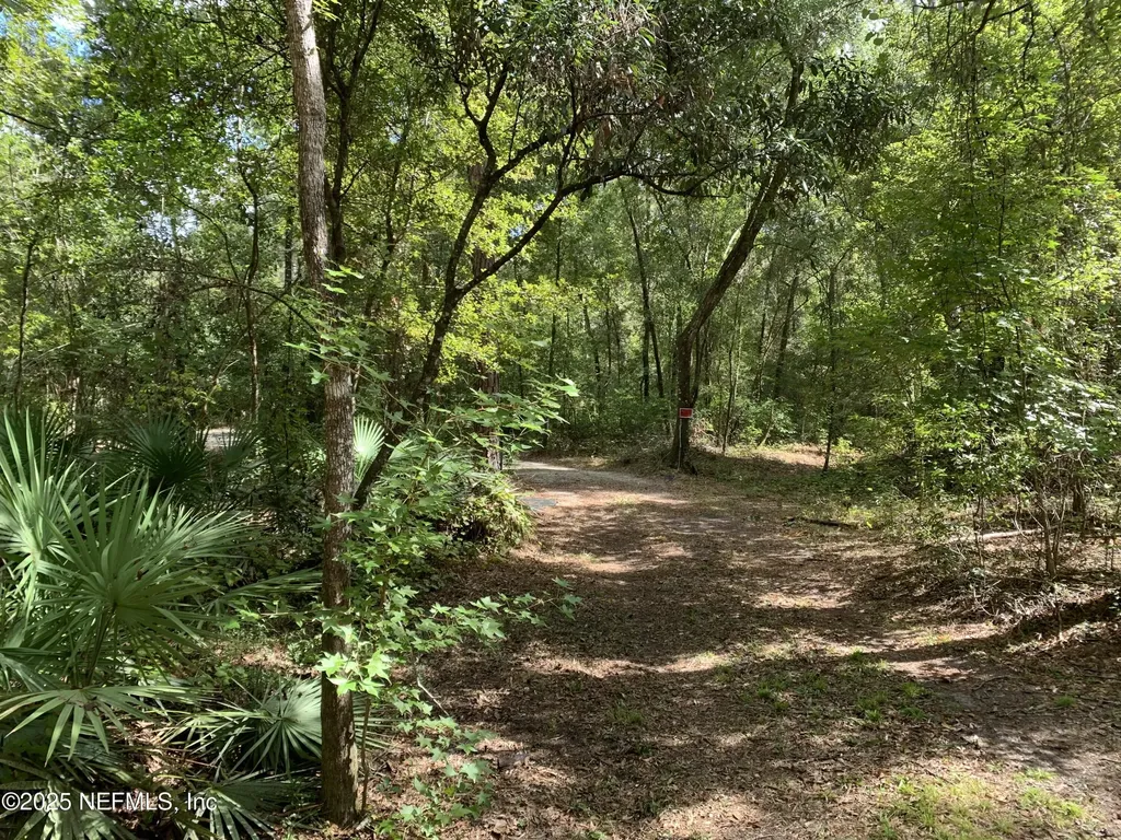 118 Corbina Way Florahome FL 32140