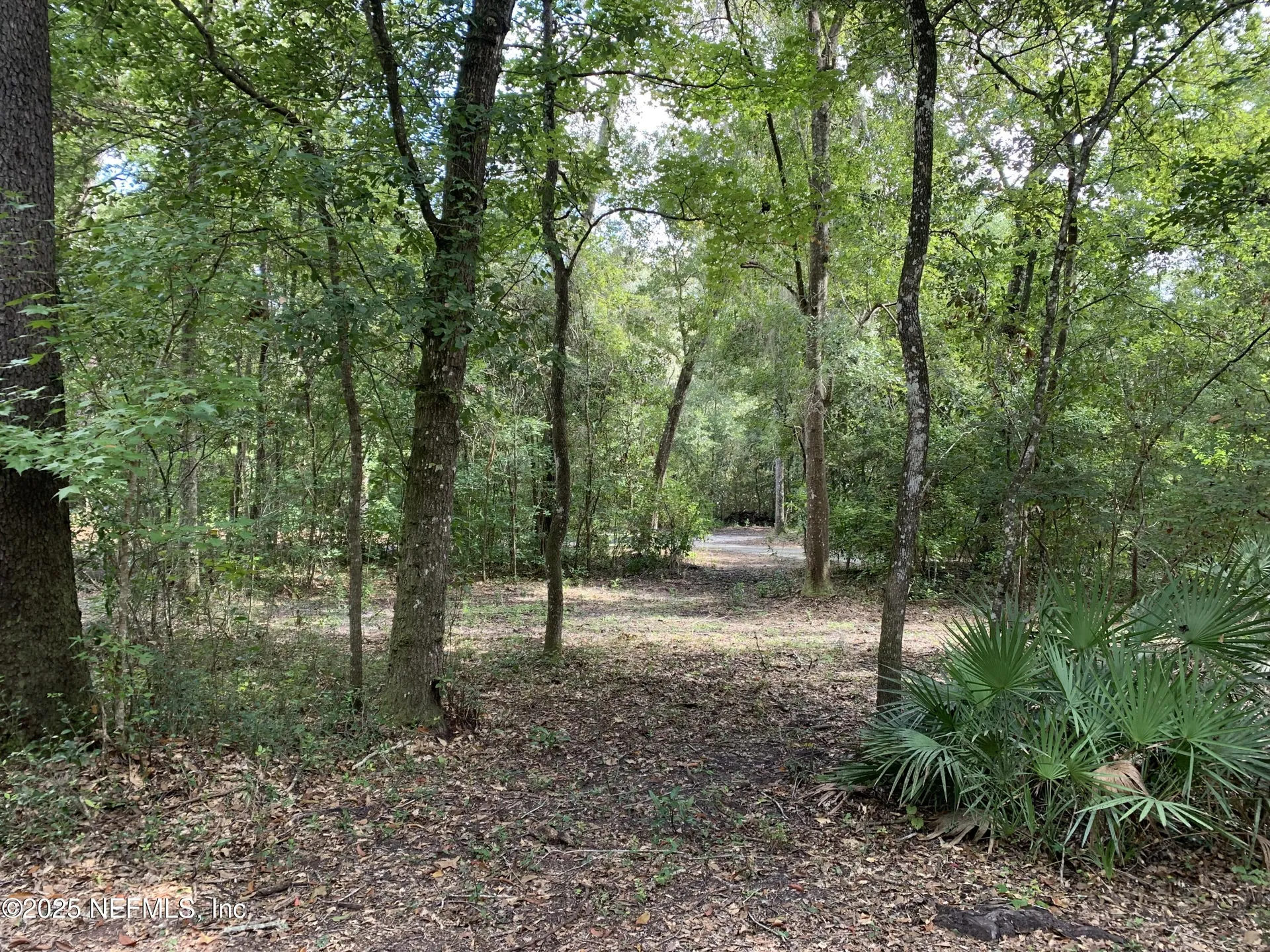 118 Corbina Way Florahome FL 32140