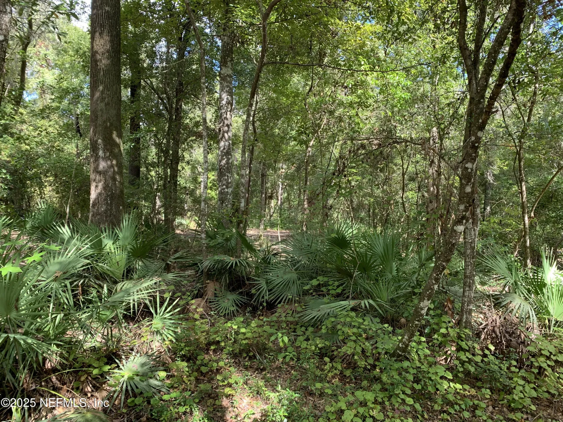 118 Corbina Way Florahome FL 32140