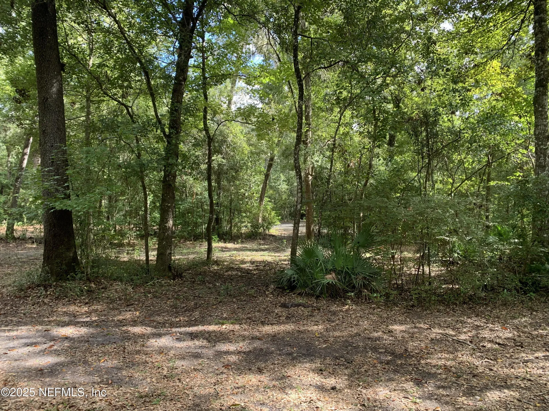 118 Corbina Way Florahome FL 32140
