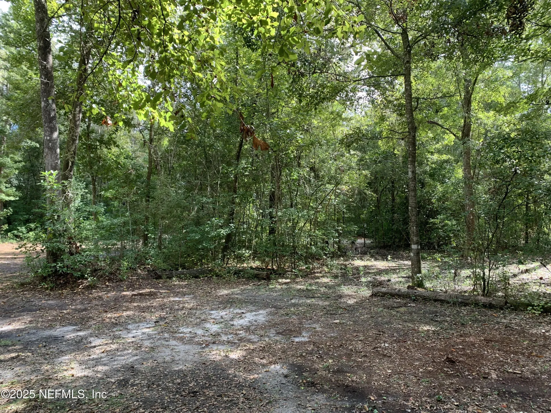 118 Corbina Way Florahome FL 32140