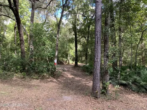 118 Corbina Way Florahome FL 32140