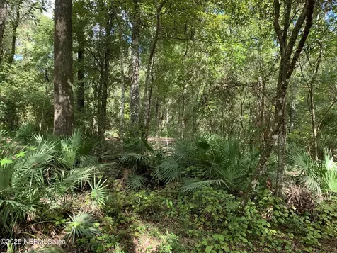 118 Corbina Way Florahome FL 32140