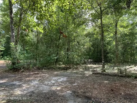 118 Corbina Way Florahome FL 32140
