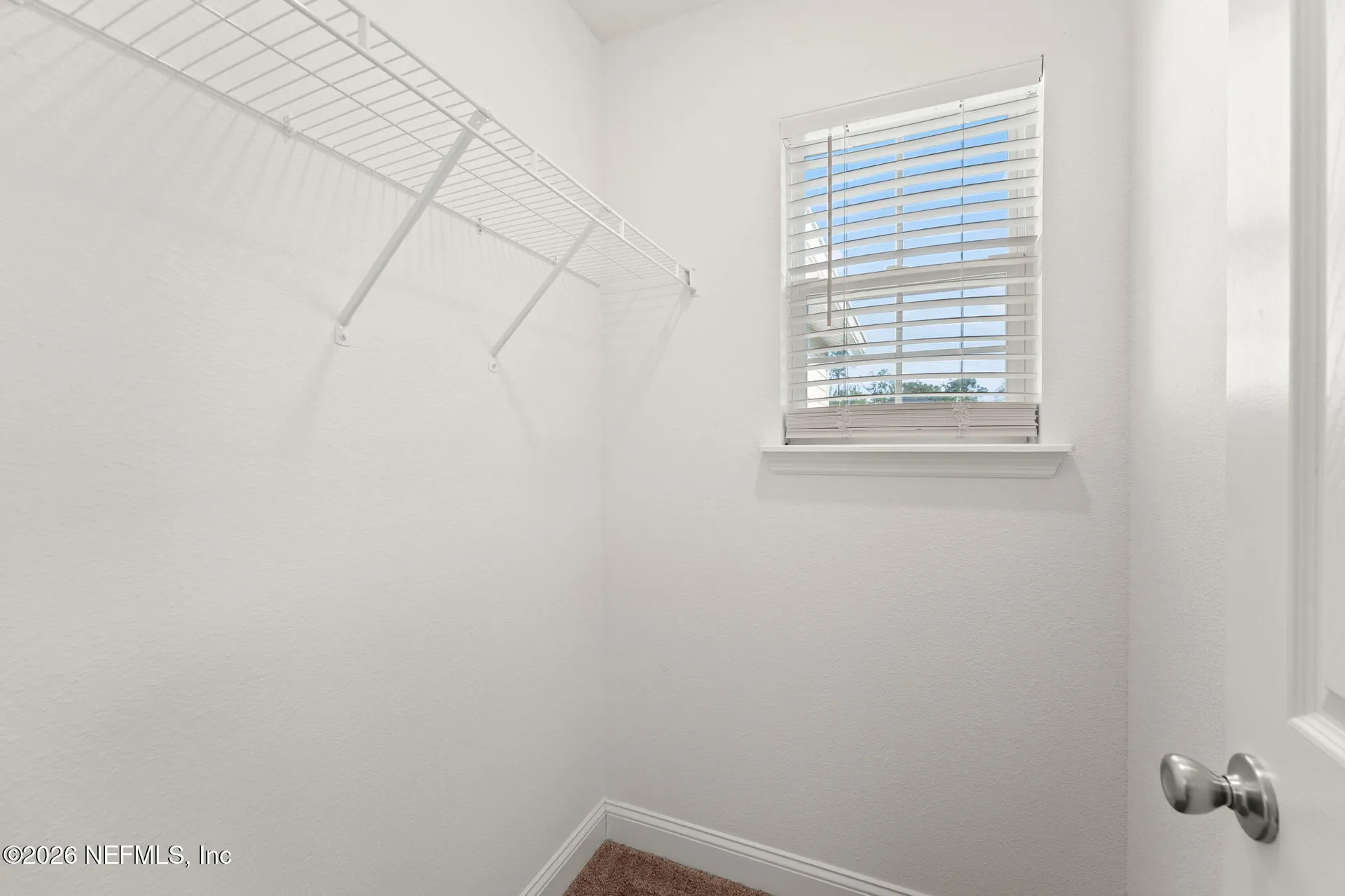 2907 Lucille Lane Middleburg FL 32068