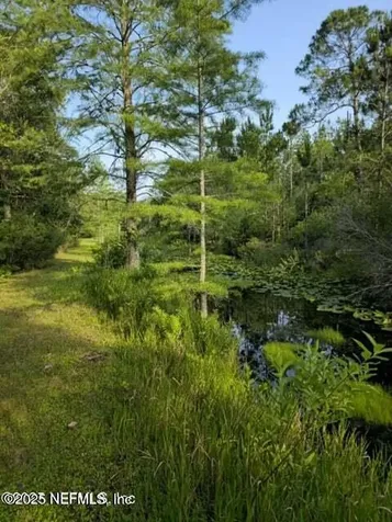 21426 NE 51st Avenue Earlton FL 32631