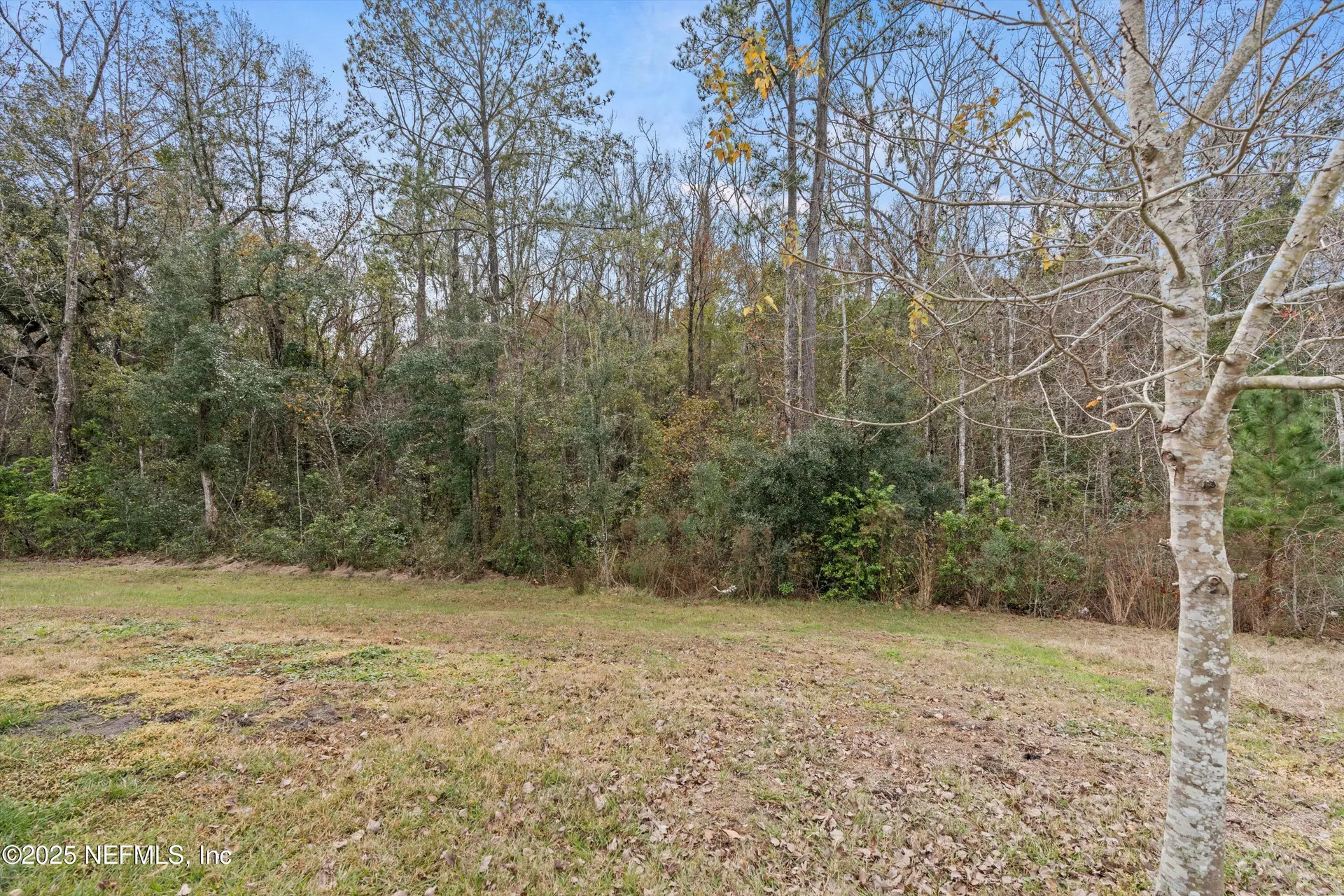 2414 Oak Stream Drive Green Cove Springs FL 32043