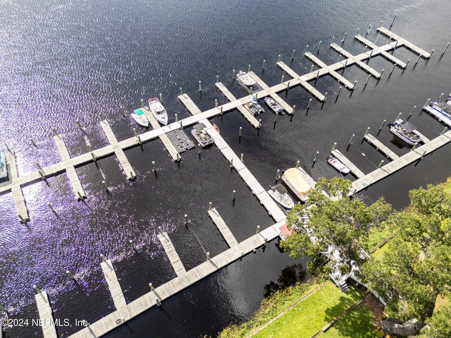 99 Broad River Place Welaka FL 32193