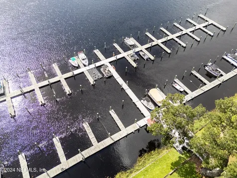 99 Broad River Place Welaka FL 32193