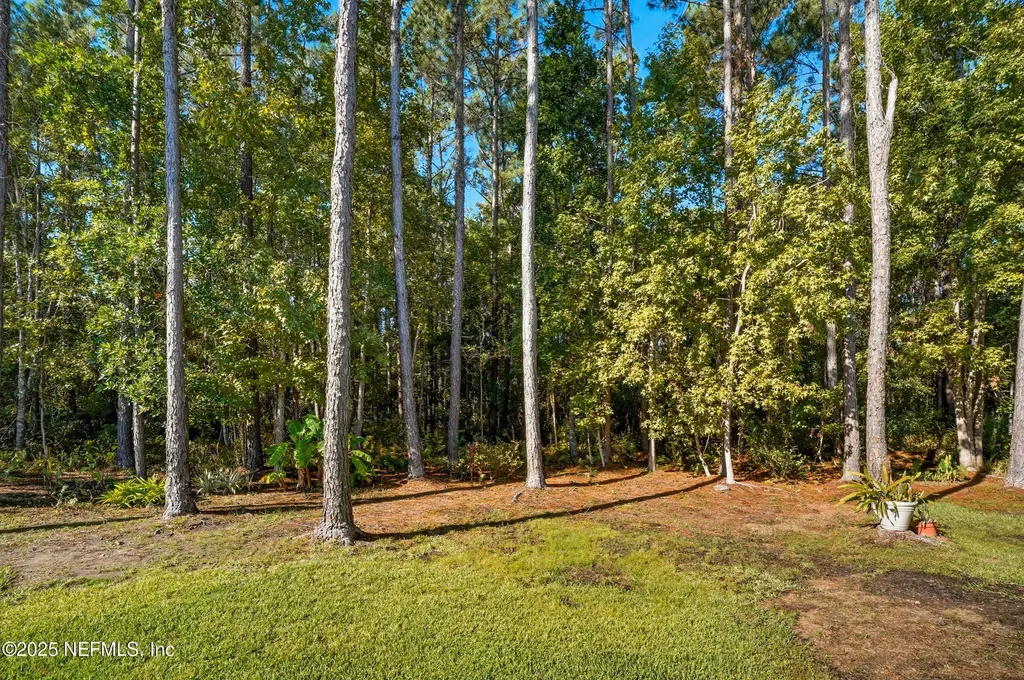 14532 Amelia Cove Drive Jacksonville FL 32226