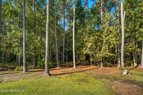 14532 Amelia Cove Drive Jacksonville FL 32226