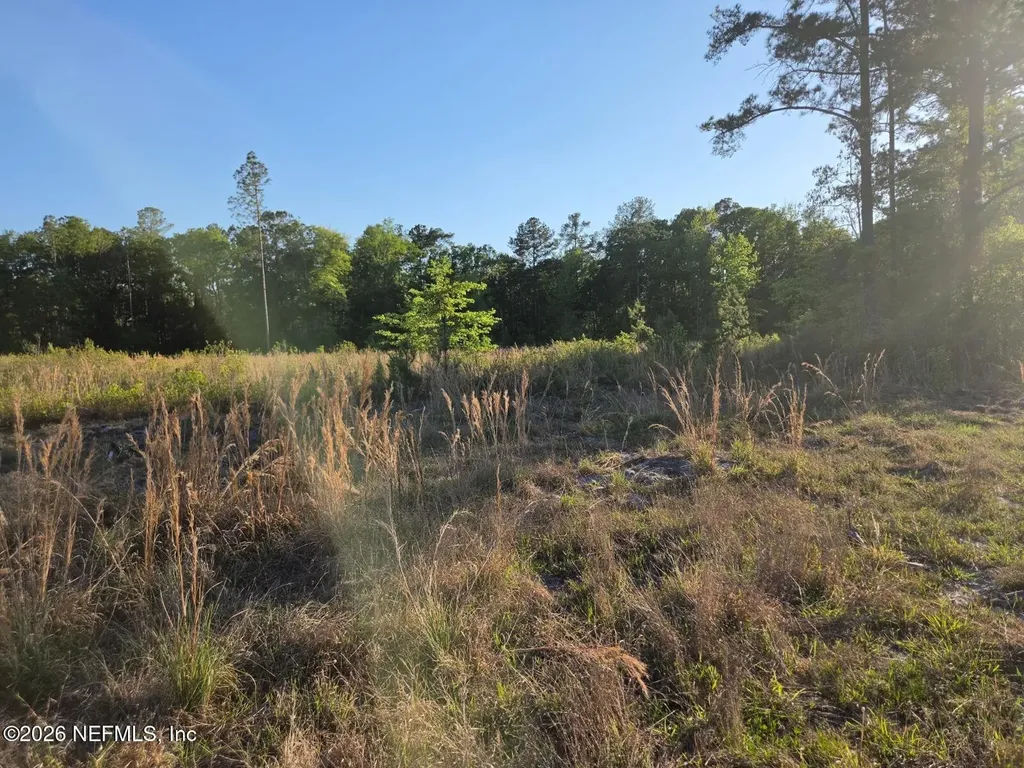 Tbd NW 119th Avenue Lake Butler FL 32054