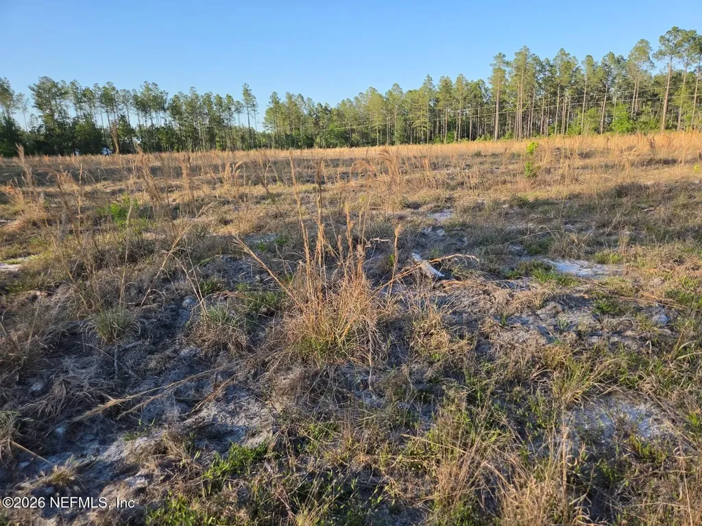 Tbd NW 119th Avenue Lake Butler FL 32054