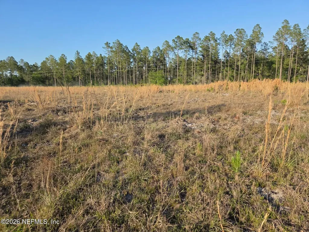 Tbd NW 119th Avenue Lake Butler FL 32054