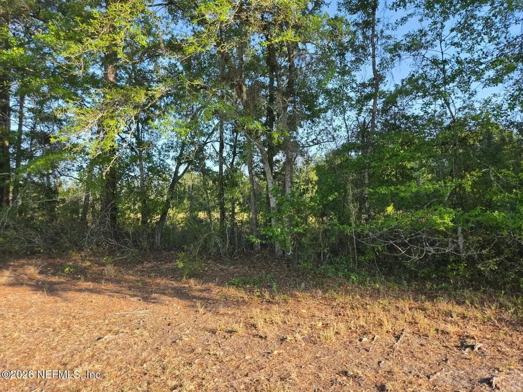 Tbd NW 119th Avenue Lake Butler FL 32054