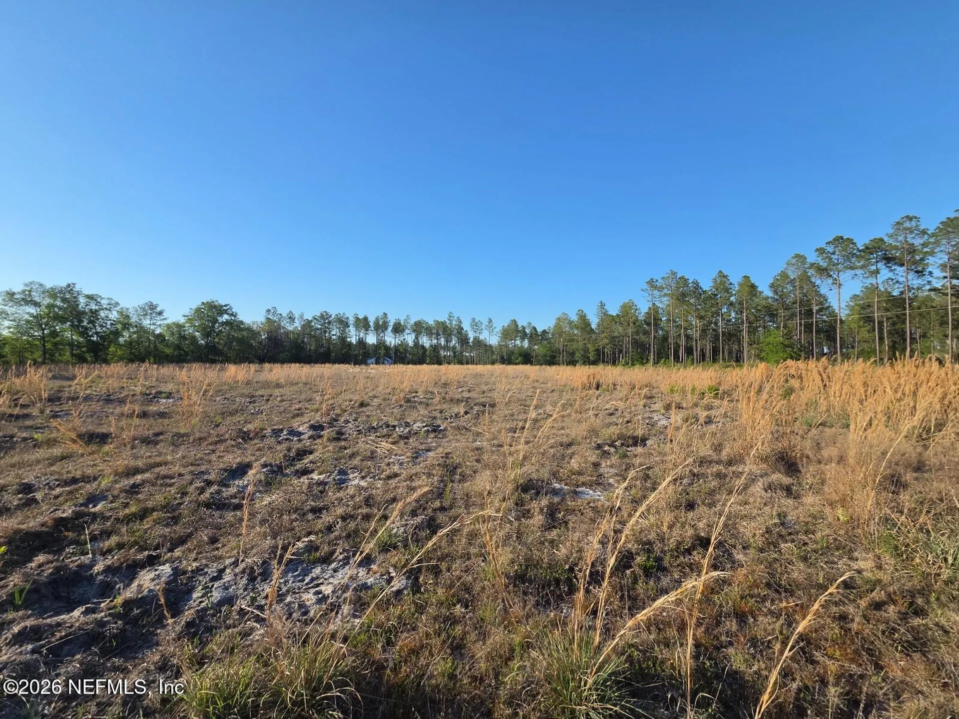 Tbd NW 119th Avenue Lake Butler FL 32054