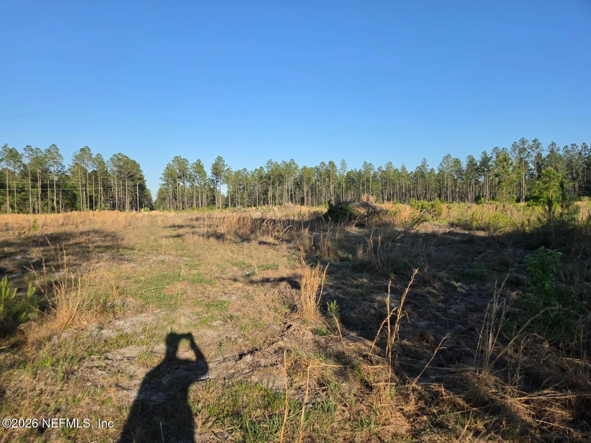 Tbd NW 119th Avenue Lake Butler FL 32054