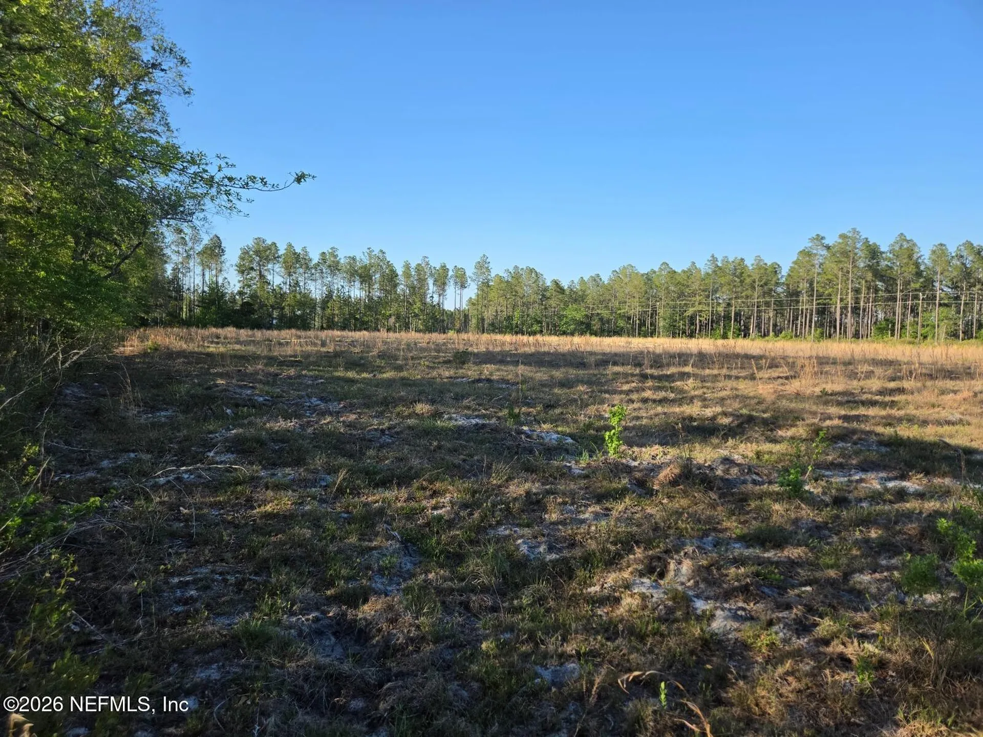Tbd NW 119th Avenue Lake Butler FL 32054