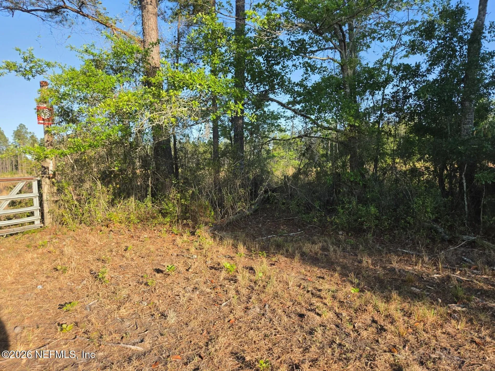 Tbd NW 119th Avenue Lake Butler FL 32054