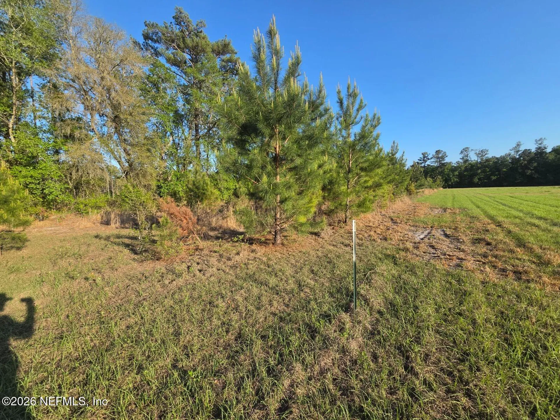 Tbd NW 119th Avenue Lake Butler FL 32054