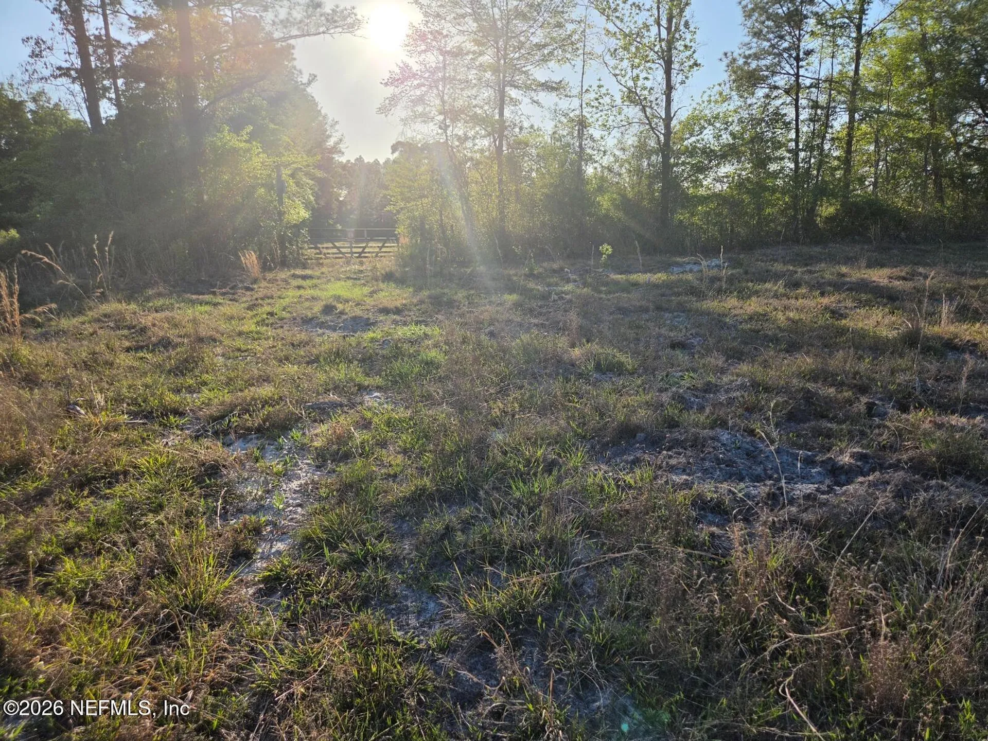 Tbd NW 119th Avenue Lake Butler FL 32054