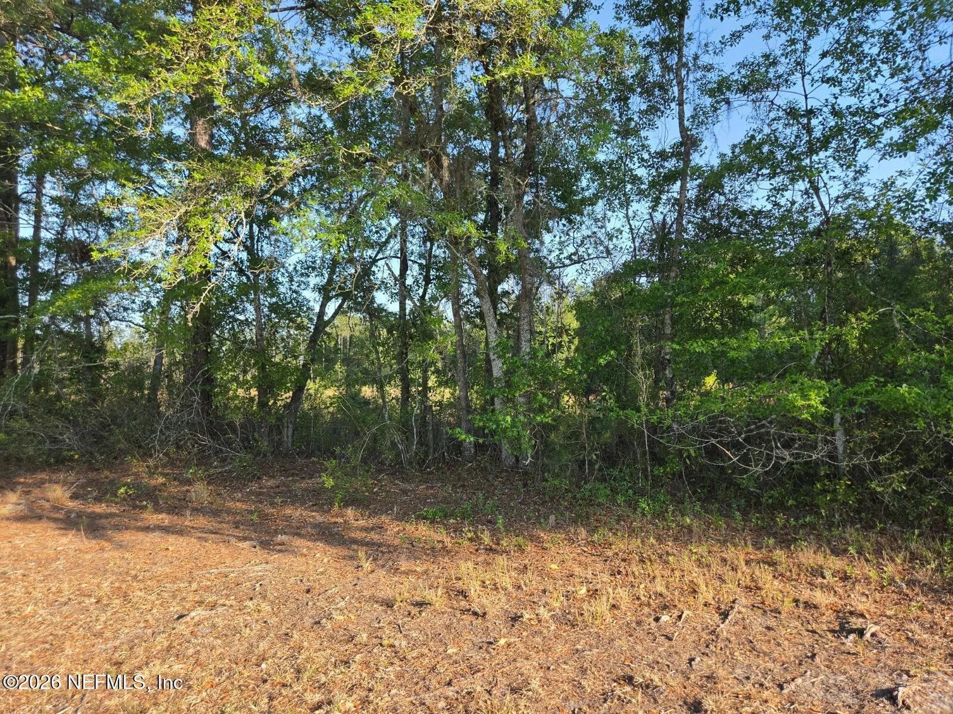 Tbd NW 119th Avenue Lake Butler FL 32054