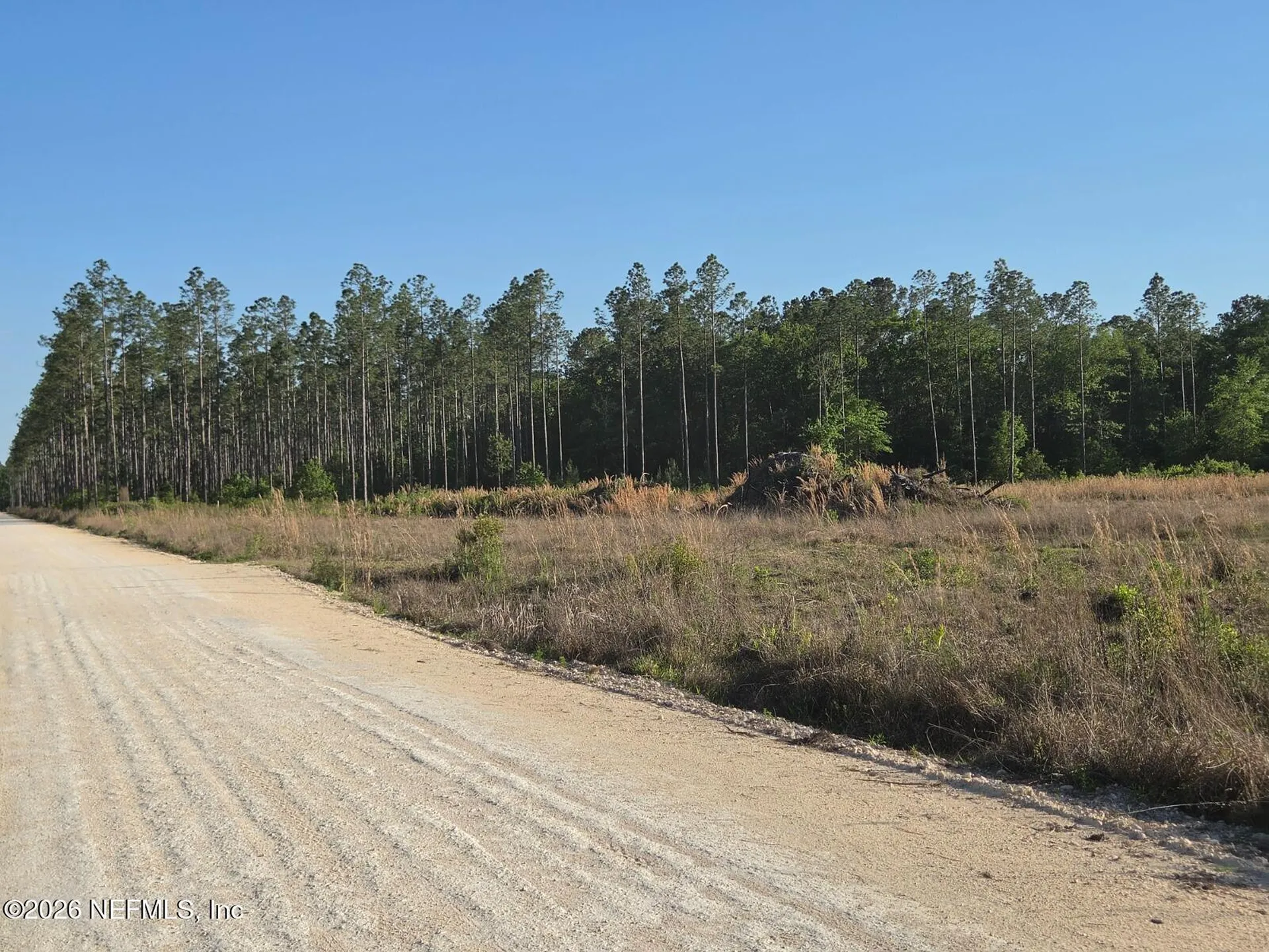 Tbd NW 119th Avenue Lake Butler FL 32054