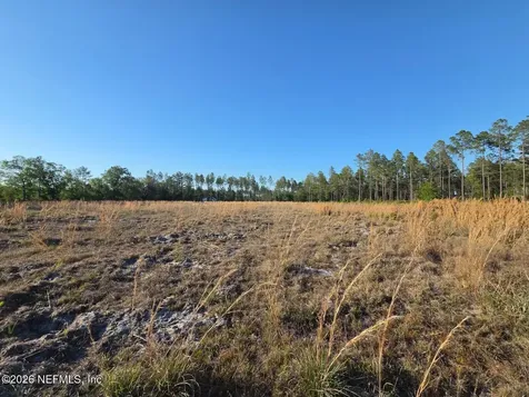 Tbd NW 119th Avenue Lake Butler FL 32054