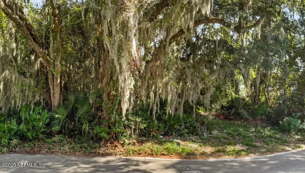 94288 Summer Breeze Drive Fernandina Beach FL 32034