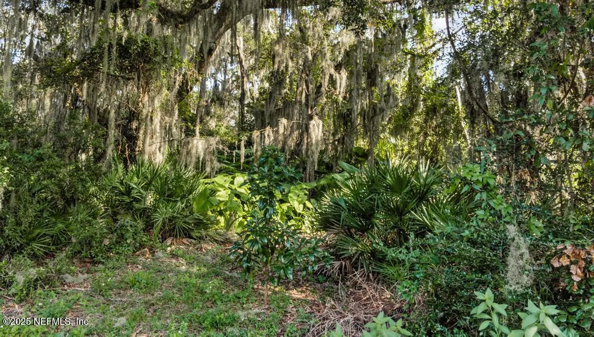 94288 Summer Breeze Drive Fernandina Beach FL 32034