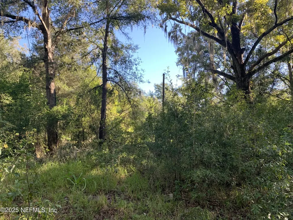 000 Baden Powell Road Hawthorne FL 32140