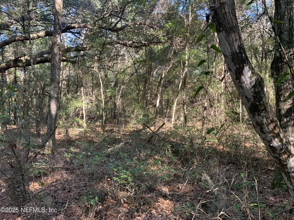 000 Baden Powell Road Hawthorne FL 32140