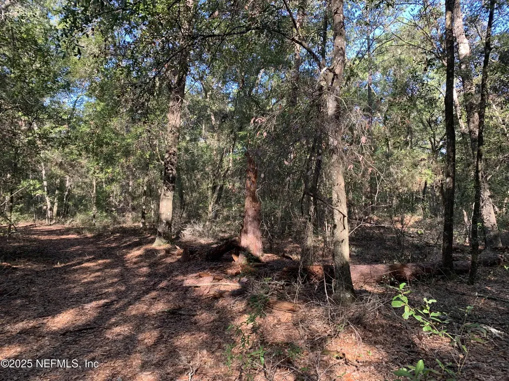 000 Baden Powell Road Hawthorne FL 32140