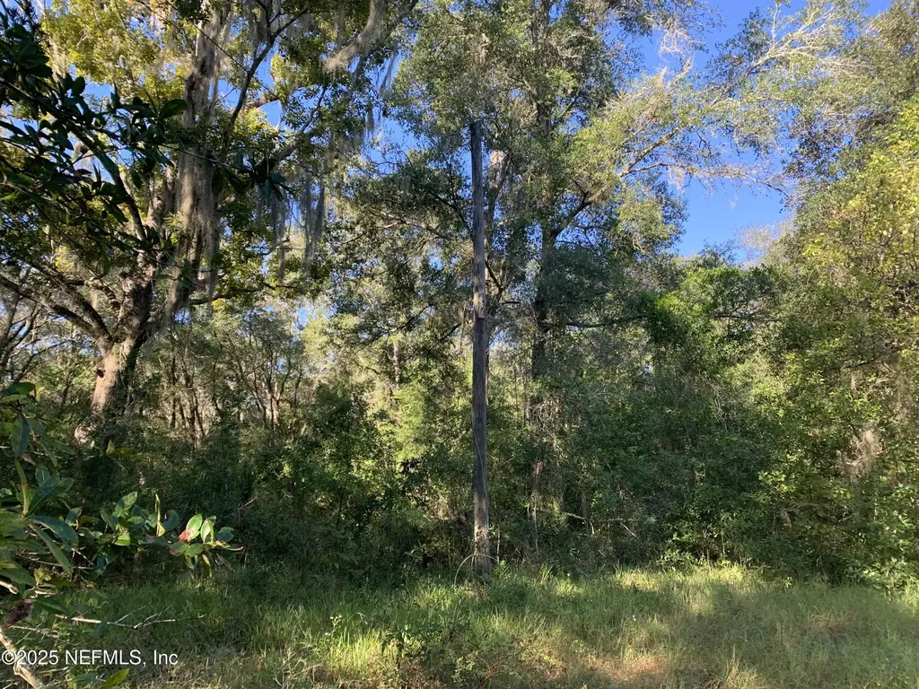 000 Baden Powell Road Hawthorne FL 32140
