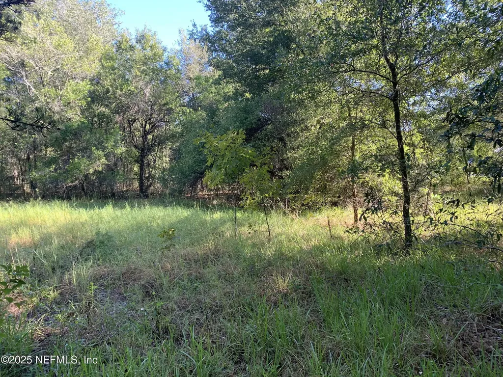 000 Baden Powell Road Hawthorne FL 32140
